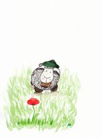 Sheep and poppy
