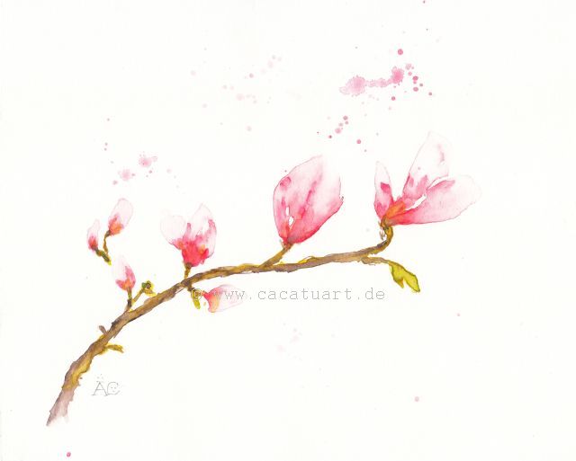 magnolien.jpg